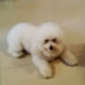 Meet your Posher, Julia